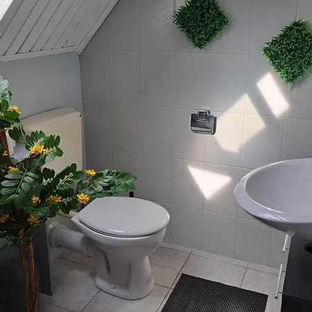 Saaler Pfandl Ferienwohnung Zentral Gelegen Апартаменты *