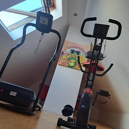 Апартаменты Saaler Pfandl Ferienwohnung Zentral Gelegen